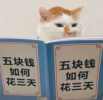 【老八测杯】国货行不行?ok魅魔天使最细拆解!