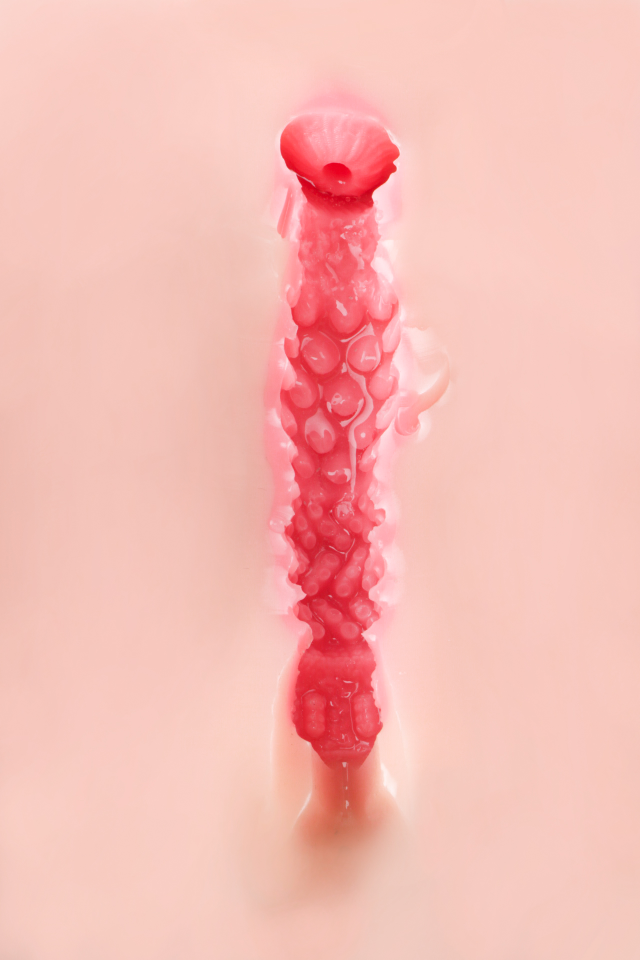 【老八测评】给新人吃顿好的!RQS厨娘日记刷新初哥底线?