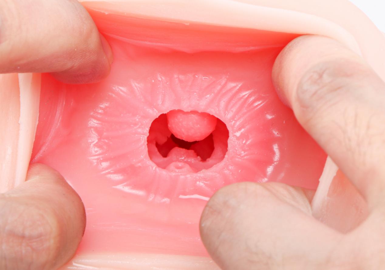 【老八测评】温情猫娘:福瑞控最喜欢的一集!