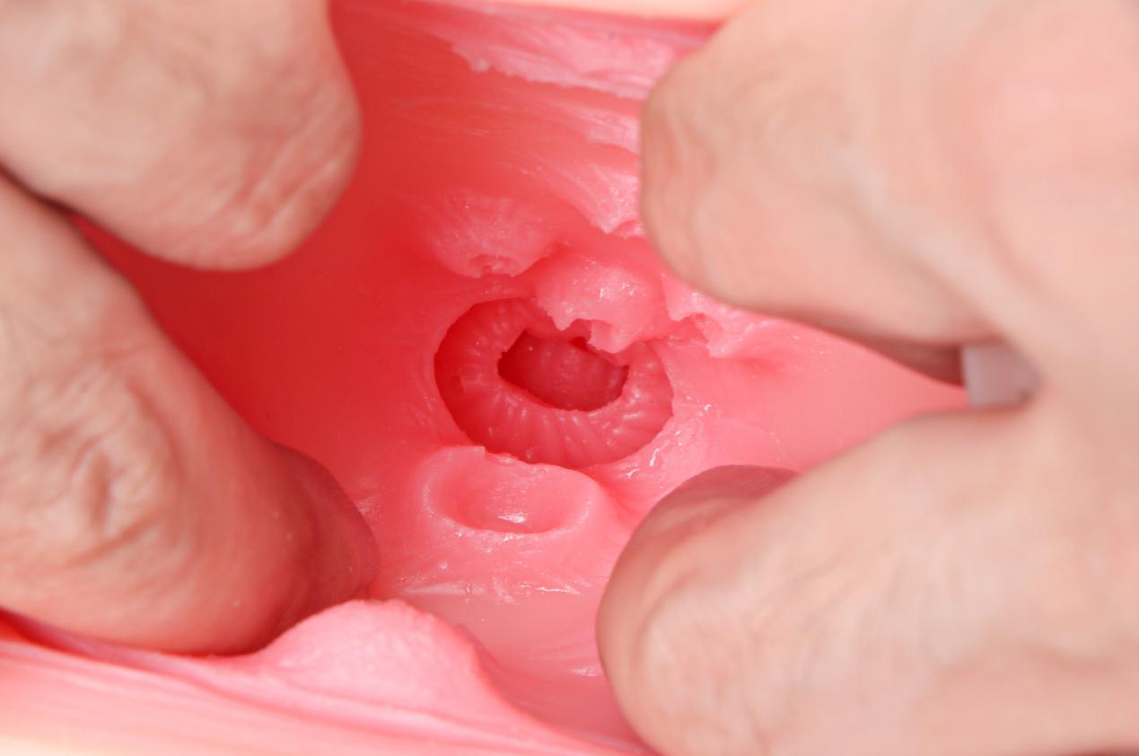 【老八测评】温情猫娘:福瑞控最喜欢的一集!