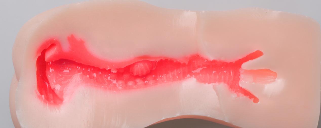 【老八测评】新婚秘密:纯爱战士有福了!