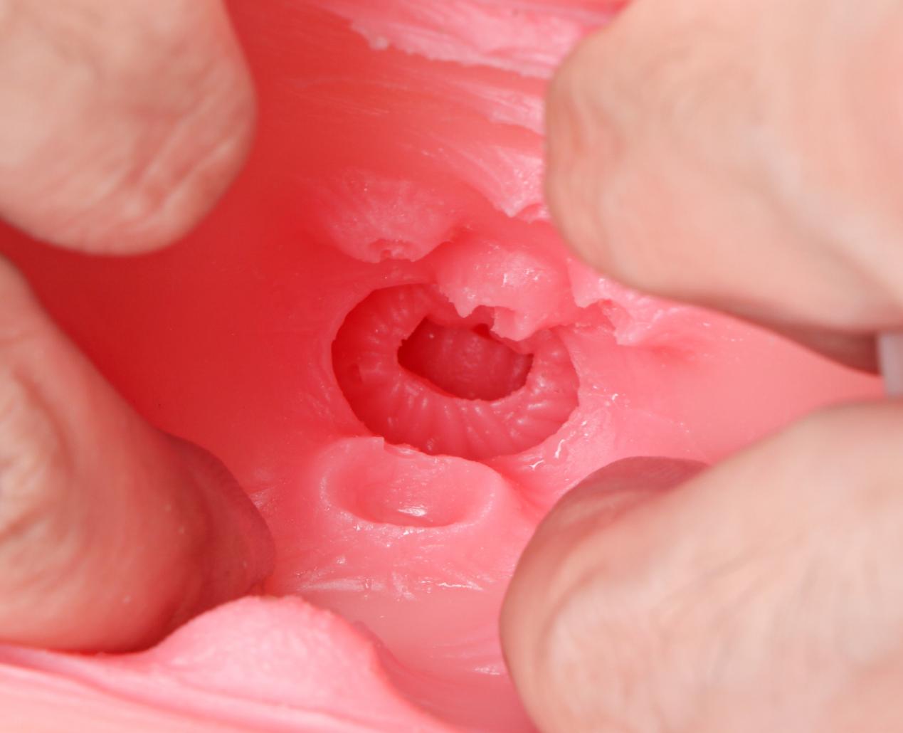 【老八测评】温情猫娘:福瑞控最喜欢的一集!