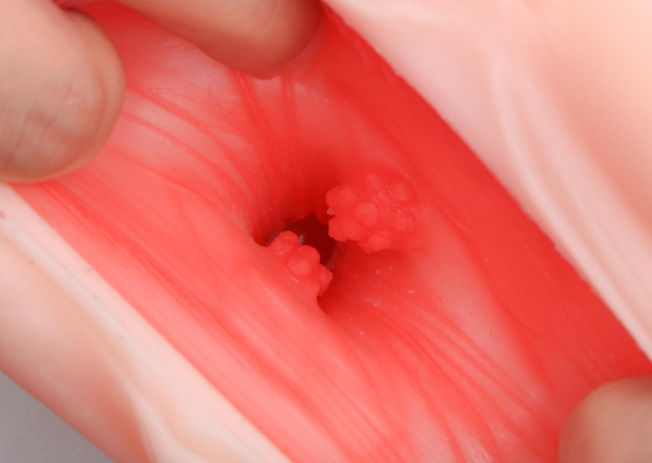 【老八测杯】异界妖姬：内卷大战下的炮灰小透明