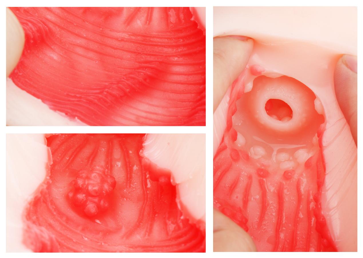 【老八测杯】异界妖姬：内卷大战下的炮灰小透明