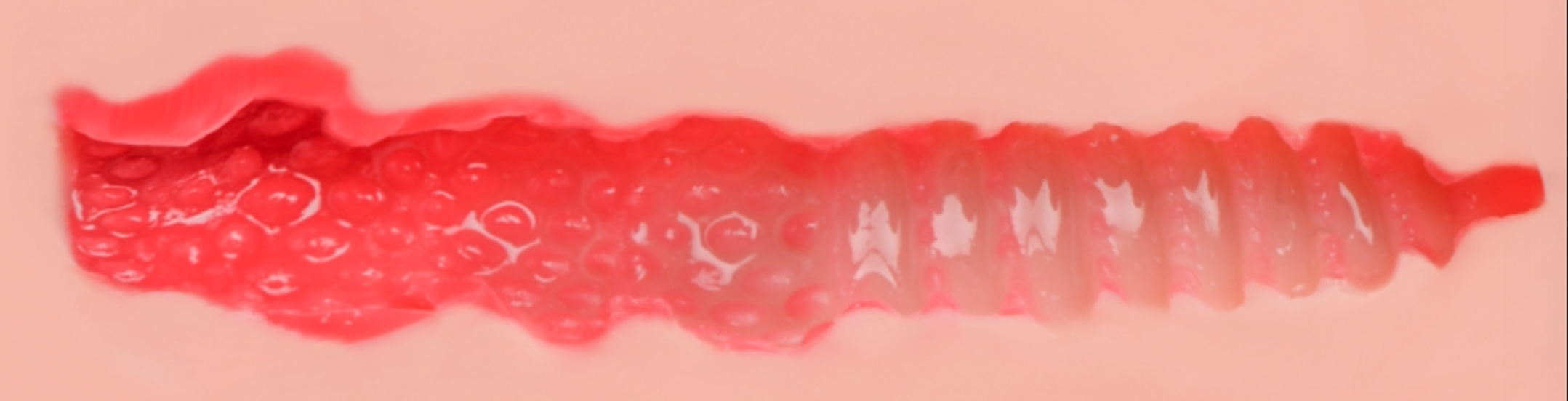 半岛老湿➡️RQS宫庭妄想，六边形小臀杯的终极答