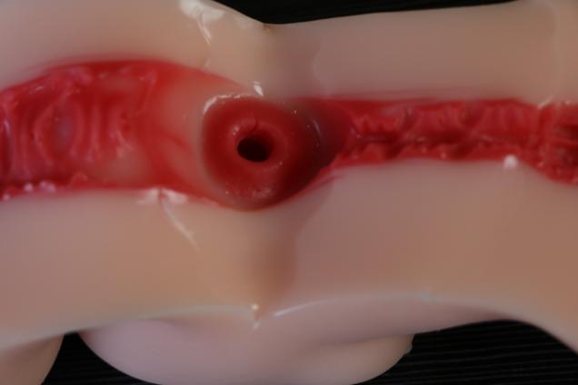 【老八测评】LoveFactor禁忌修女2代：主打紧致的中庸刺激杯，无功无过的迭代升级