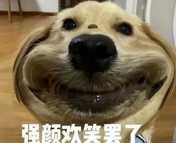 【老八测评】爱妻素体:半身玩具中最能打的一位来了!