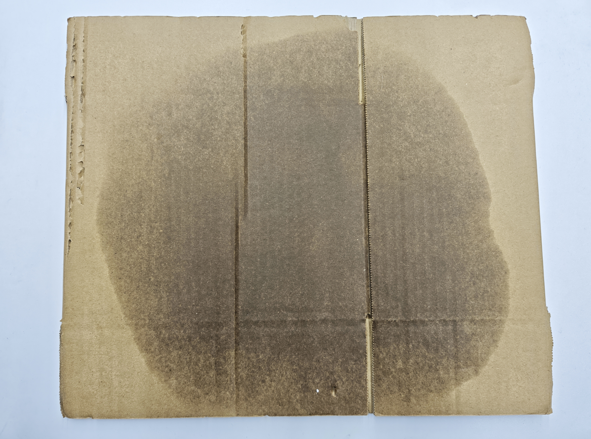 【新人必看】关于杯子出油的一些小知识!